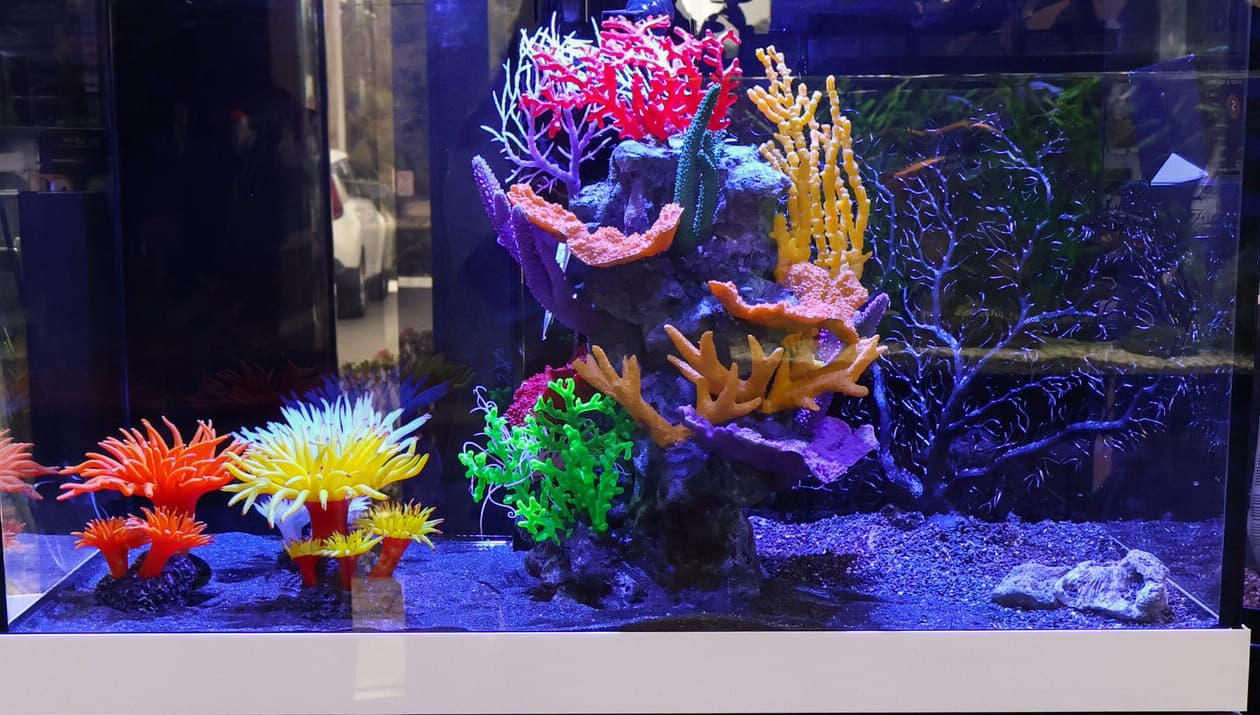 A display aquarium on a white cabinet, rockwork and artificial coral on dark sand