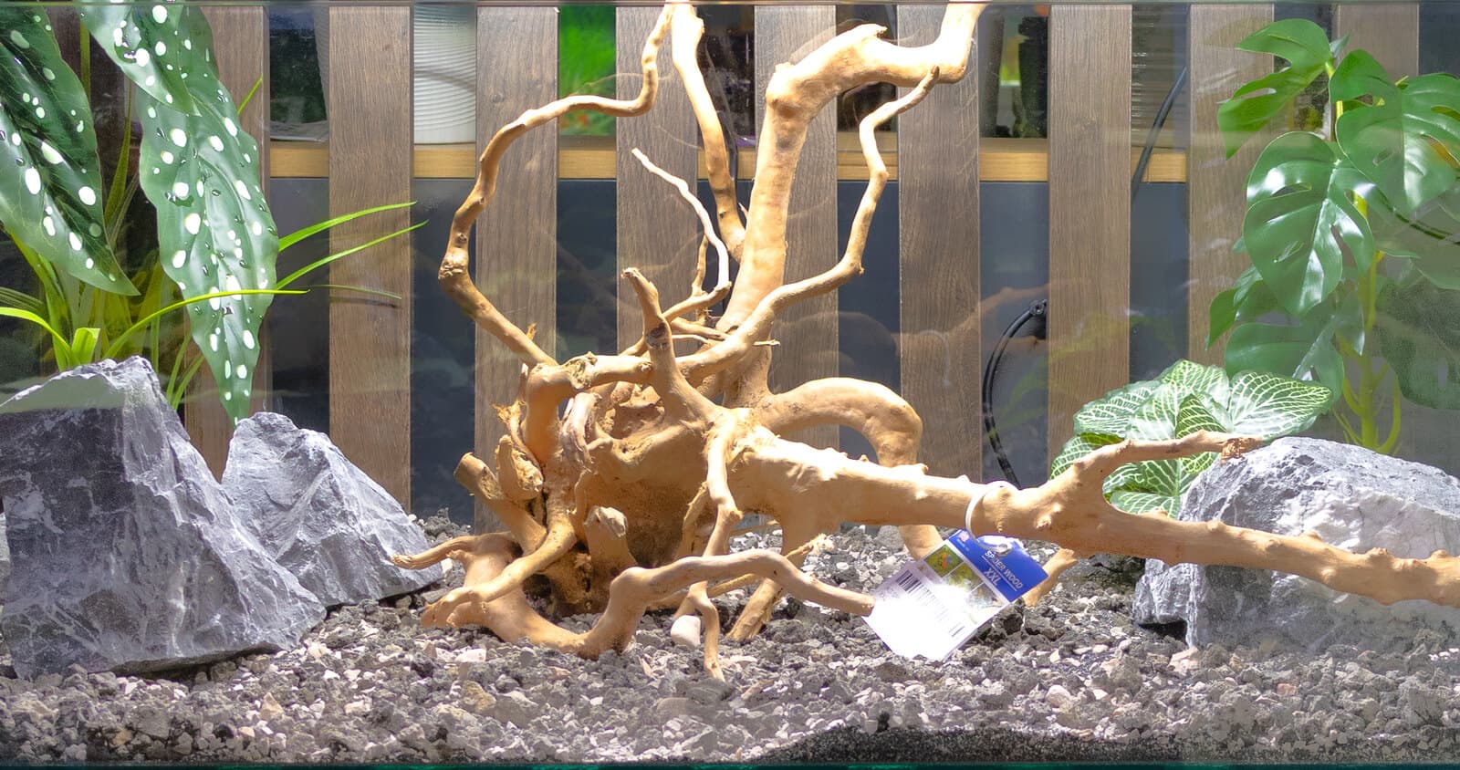 Branching driftwood set between grey stones in a display aquarium
