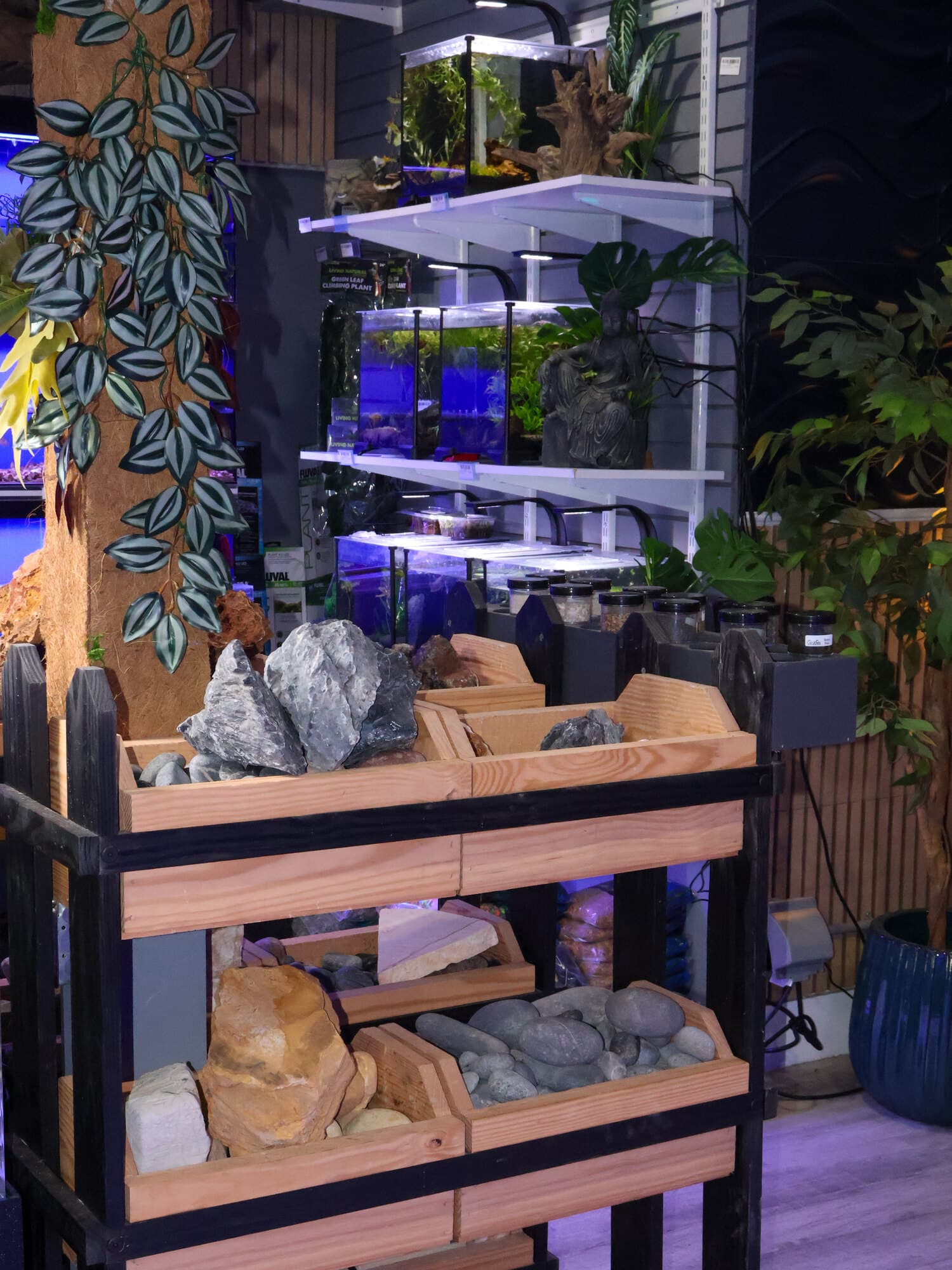 Wooden bins of rock and stone, with planted nano aquariums on the shelves above