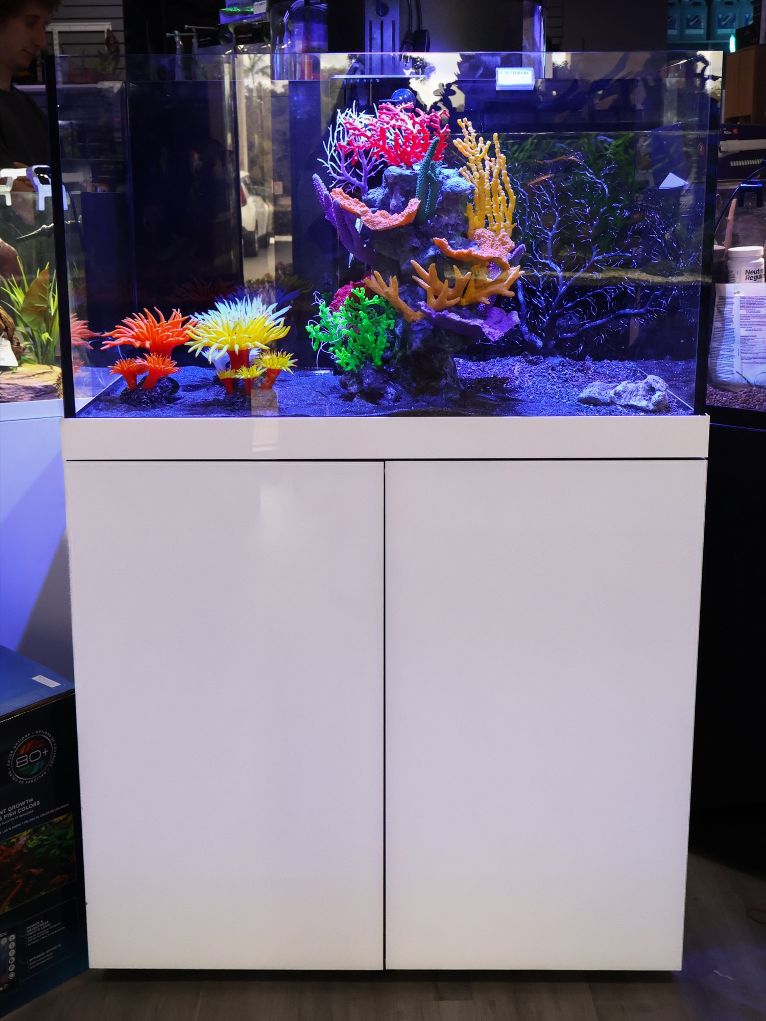 Reef aquarium designed and stocked by Barrier Reef, on the store floor